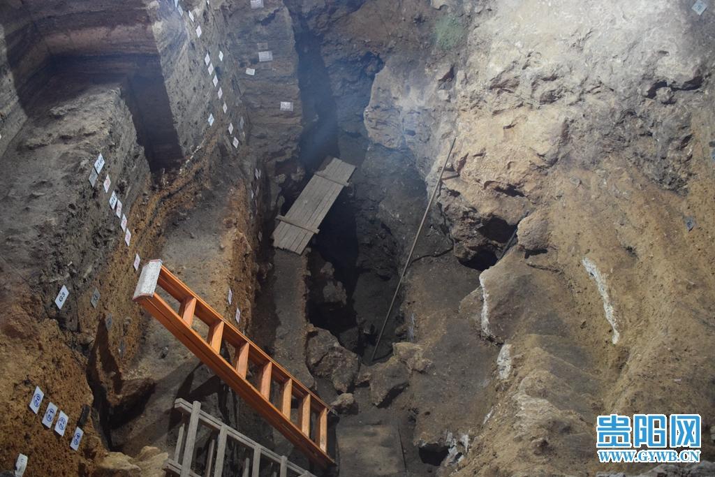 一起来探秘贵州贵安招果洞遗址|贵州|古人类|遗址_新浪新闻