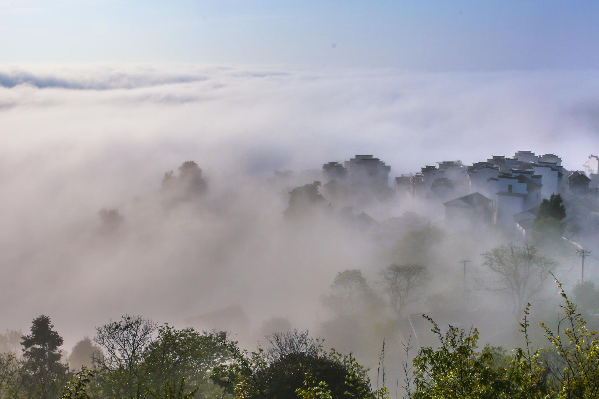 淳安晨雾装扮乡村景如画