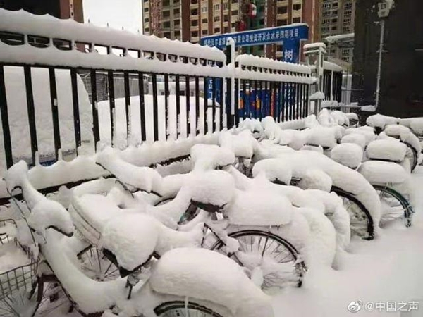 呼伦贝尔4月大雪纷飞最大雪深24厘米网友直呼场面壮观