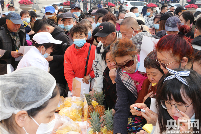 舌尖上的菠萝全球菠萝城市品鉴中国行哈尔滨站活动启动