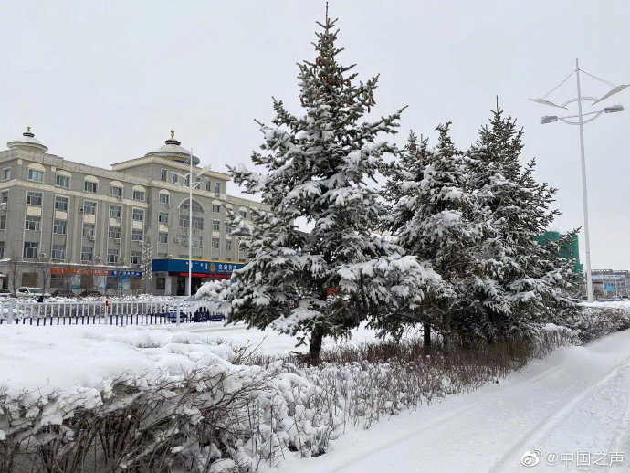 内蒙古呼伦贝尔4月遭遇强降雪天气最大雪深达24厘米