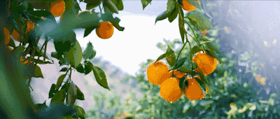 400_170gif 动态图 动图