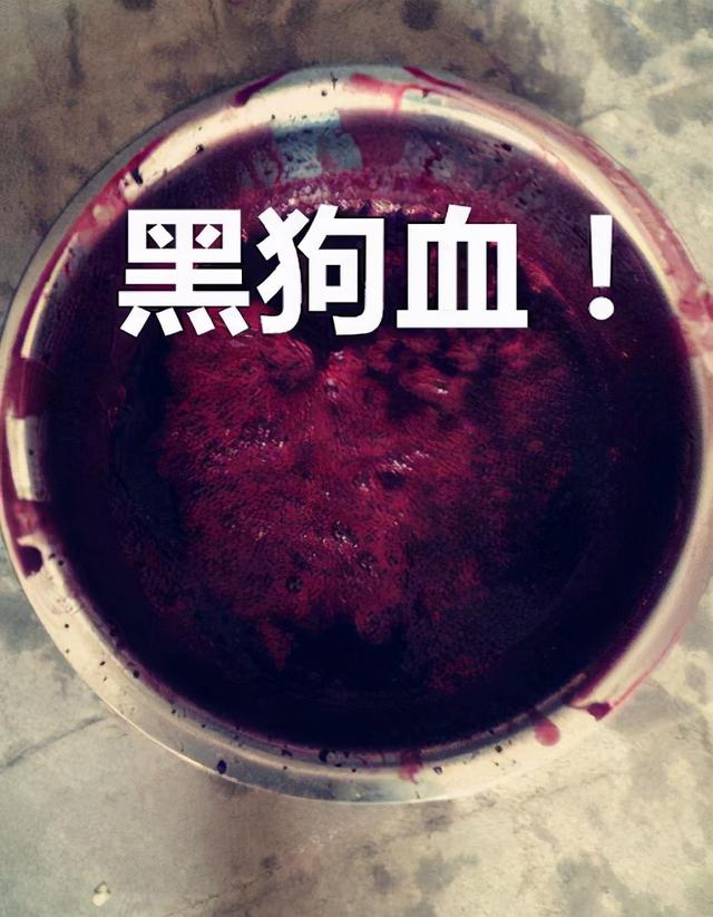 一张身份证能看出什么?金钱乃万恶之源,网红项思醒超级大瓜解析