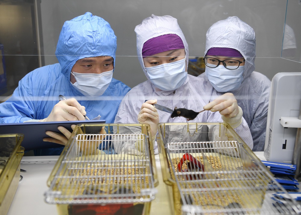 该如何善待实验动物？上海肿瘤医院有个暖心的实验动物中心