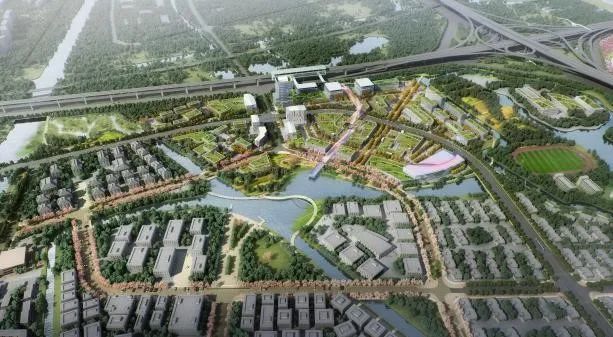来看北蔡楔形绿地未来规划|绿地|楔形|公益林_新浪新闻