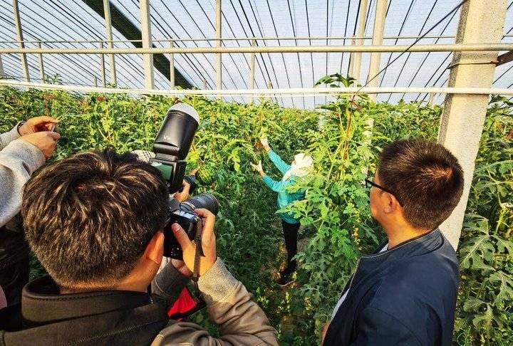 对每粒西瓜甜度规格做出精确判断潍坊郭牌西瓜引进最牛分拣线