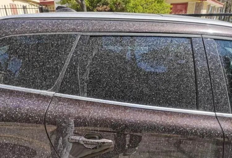 今天你的车被泥点子突袭了吗济南这个景区全是人人人人人网友不是在