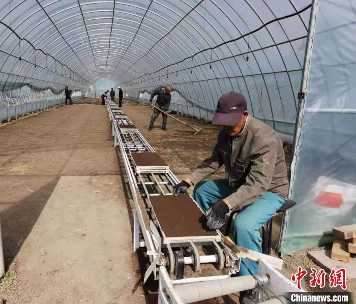 北米之最晋祠大米育秧尽显科技范助稻农增产增收