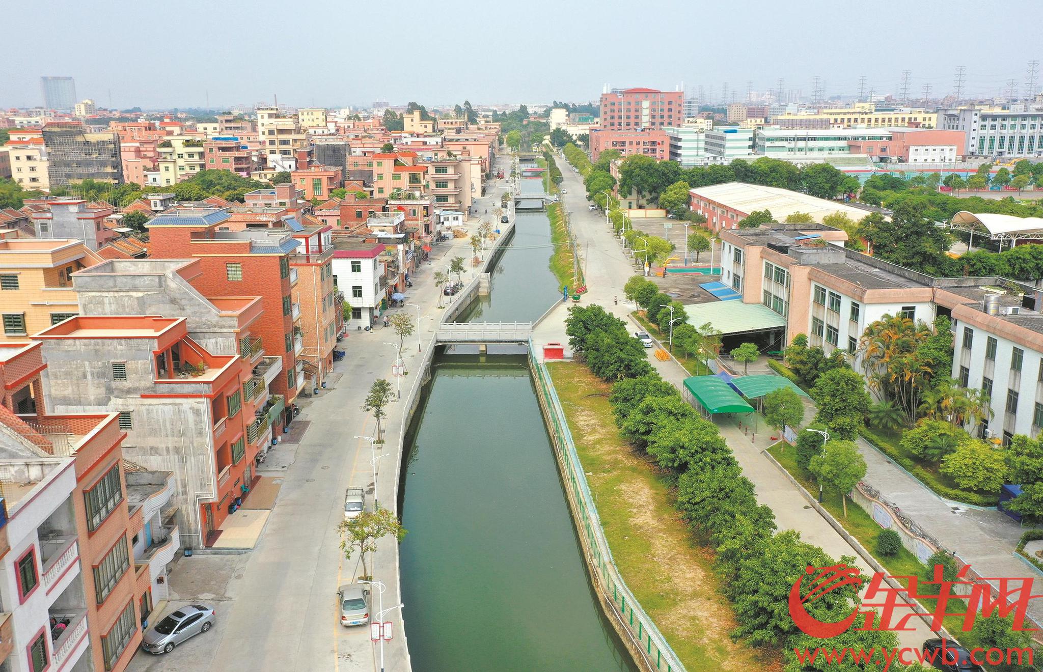 东莞河清岸美换新颜岭南水乡还复现