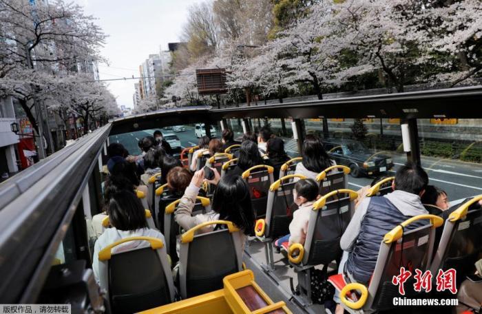 当地时间3月22日，日本东京解除紧急状态，旅游业逐步恢复，民众戴口罩搭乘观光车赏樱花。