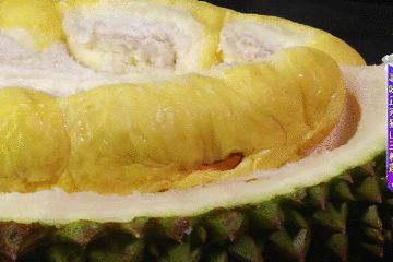 冰凉的果肉让人一时难忘,口感绵滑,就像在吃100%纯猫山王榴莲果肉的