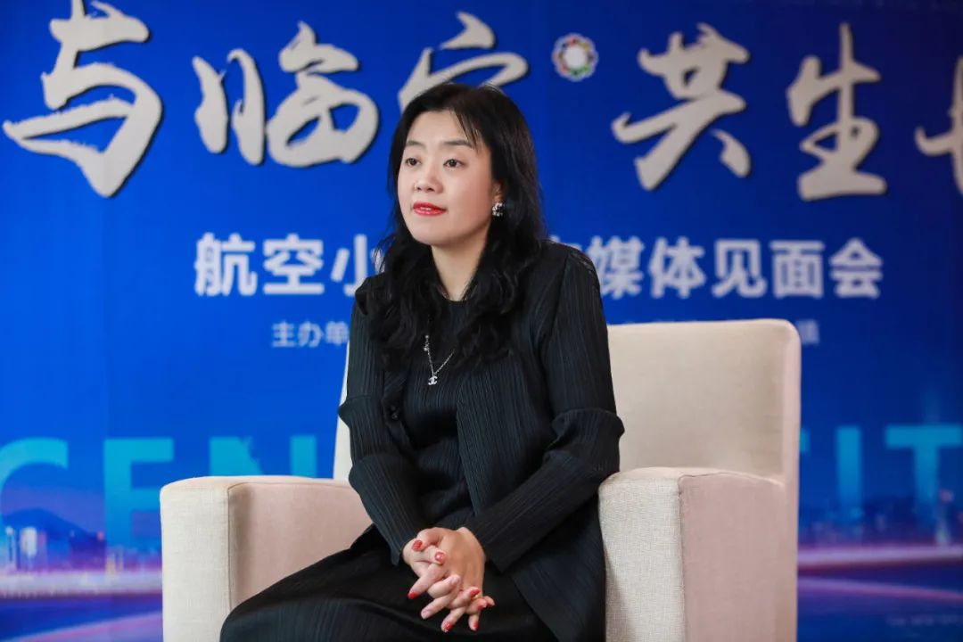 每一个都是标杆项目新绎控股和飞行家小镇的故事