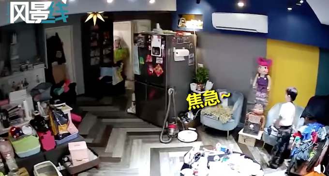 台湾地震小朋友第一时间救猫，冲进客厅一把抱走！网友：优秀的铲屎官休闲区蓝鸢梦想 - Www.slyday.coM