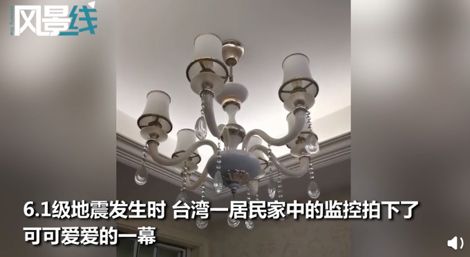 台湾地震小朋友第一时间救猫，冲进客厅一把抱走！网友：优秀的铲屎官休闲区蓝鸢梦想 - Www.slyday.coM