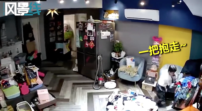 台湾地震小朋友第一时间救猫，冲进客厅一把抱走！网友：优秀的铲屎官休闲区蓝鸢梦想 - Www.slyday.coM