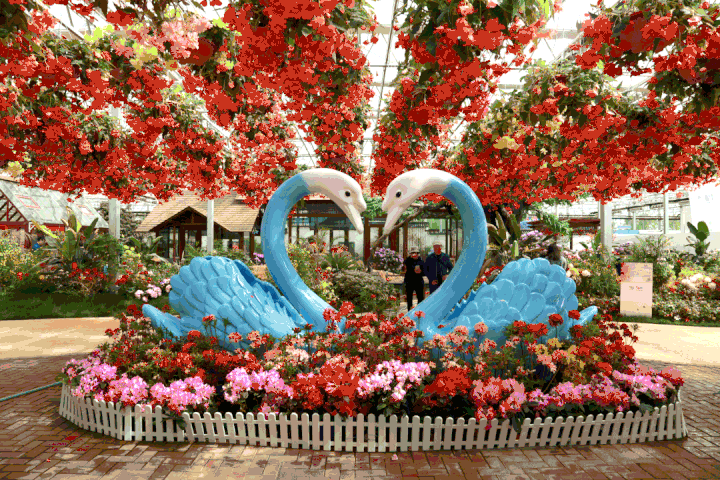 第三届中国(日照)杜鹃花节将于4月24日启幕!