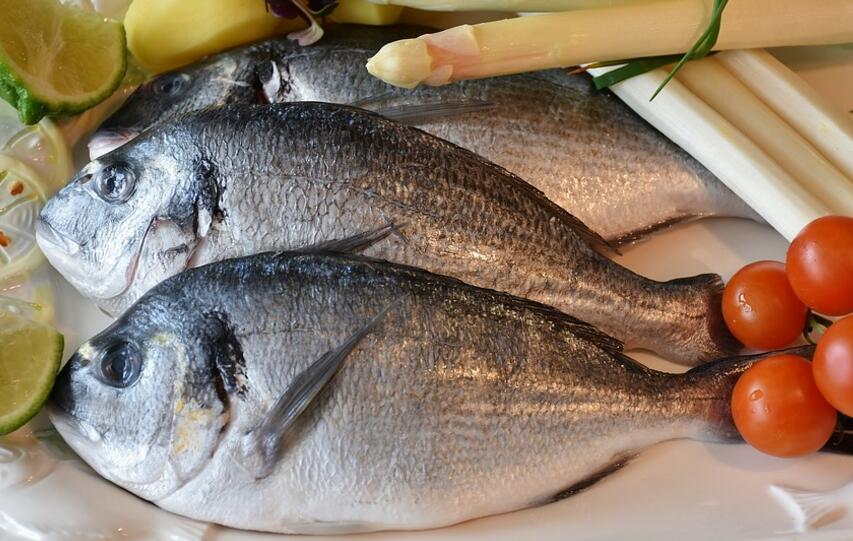 尿酸高的人吃鱼有什么注意事项?