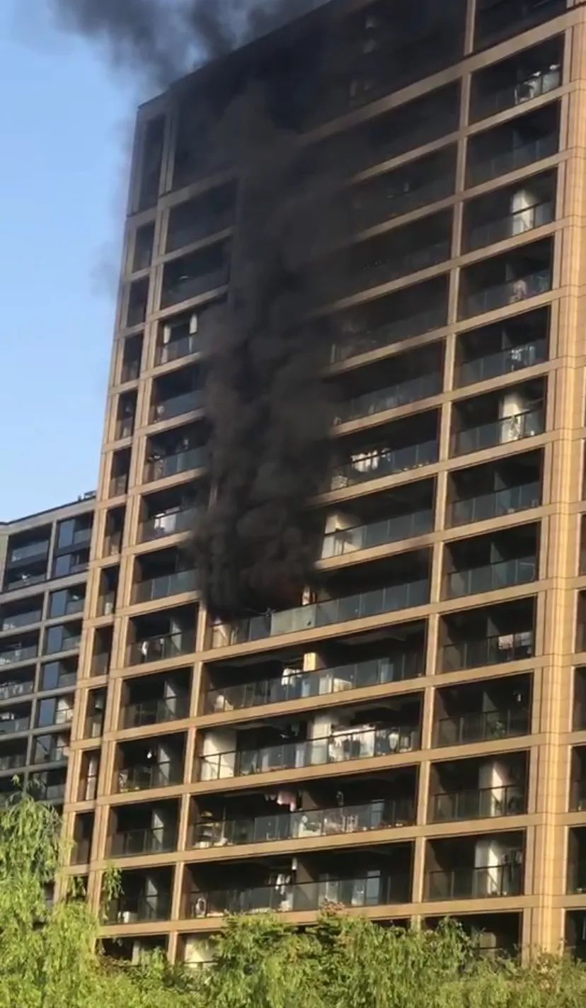今早杭州一高层住宅楼发生大火因绿化挡路消防车无法开到楼下