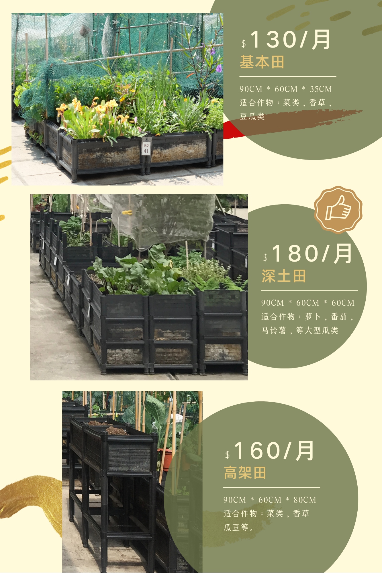 普通人的自然 城市农夫 在高密度城市如何实现种地自由 香港 新浪科技 新浪网 普通人的自然 城市农夫 在高密度城市如何实现种地自由 香港 新浪科技 新浪网