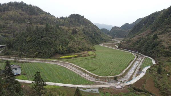 沿河水土保持综合治理助推乡村生态振兴
