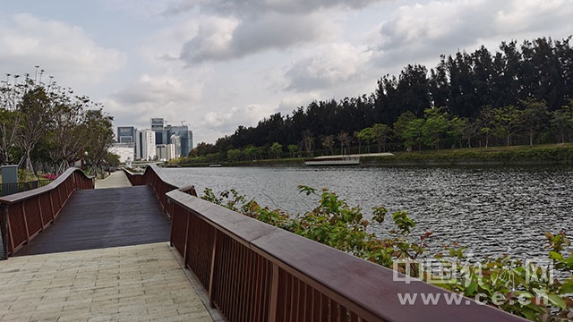 【续写更多春天的故事 走进经济特区国家级新区】深圳大沙河生态长廊织就城市“绿色项链”