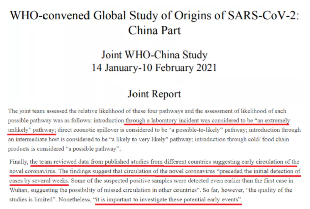 △世卫组织溯源报告文本截图