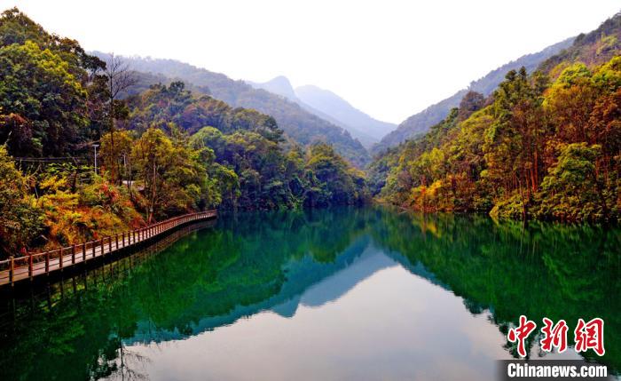 王子山森林公园位于广州市花都区和清远市交界处(资料图)广州市文化广电旅游局 供图