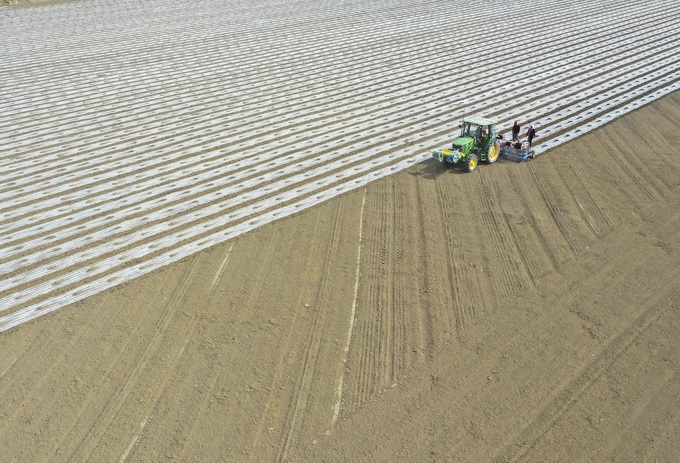 国外行业协会等赴新疆调研，中国棉花协会：支持！休闲区蓝鸢梦想 - Www.slyday.coM