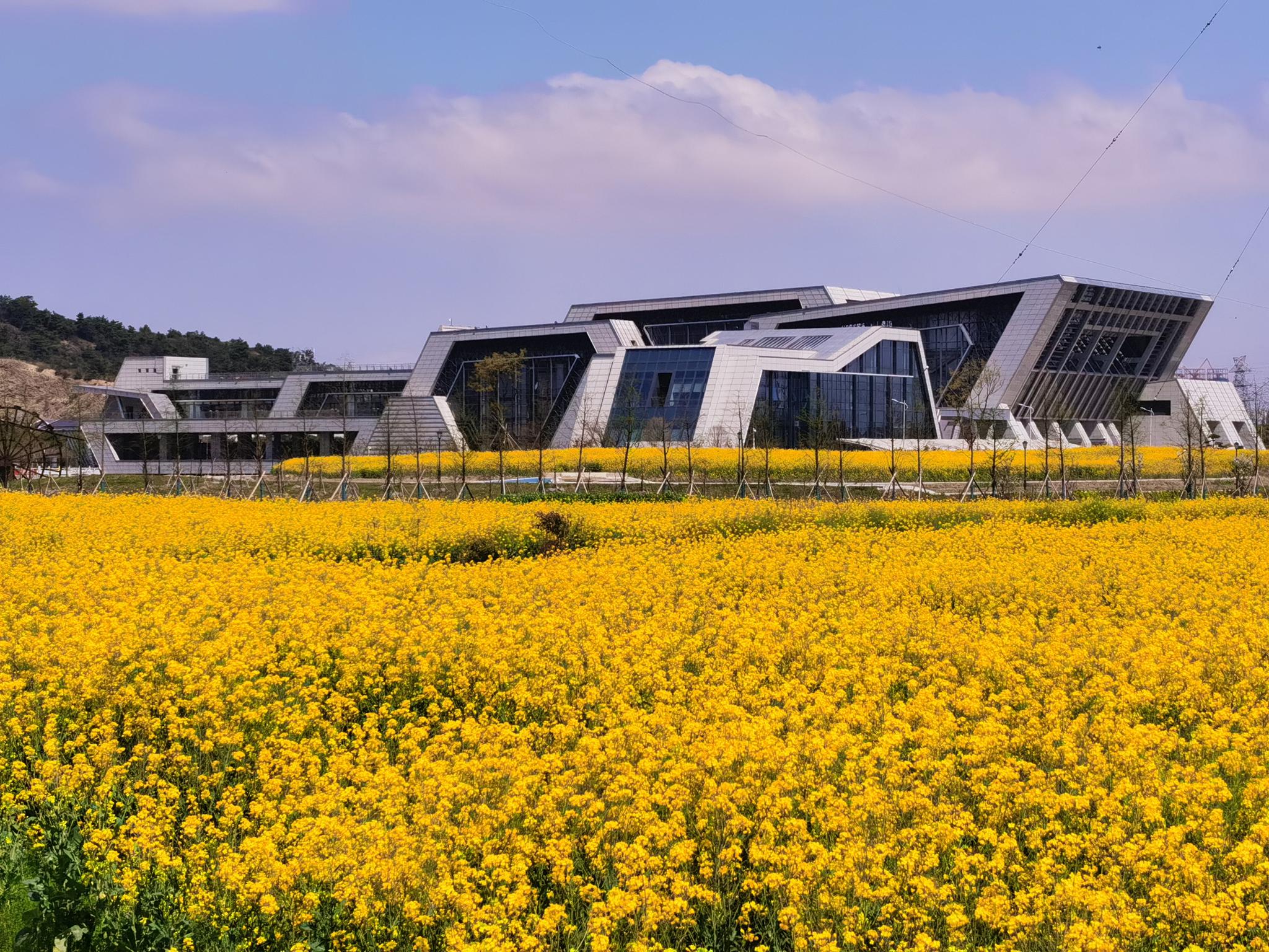 我河我的家乡丨宁波镇海澥浦闸站