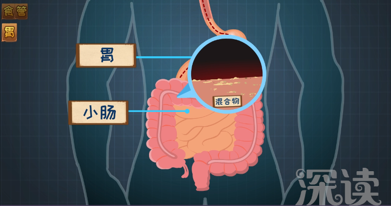 胃食管反流咋回事？反酸烧心背后真相是啥？胃食管反流发病机制动漫版！_新浪新闻