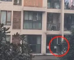 【法治热点早知道】男子涉嫌牵涉一年轻女孩和一对老人3条人命，被悬赏5万元通缉！知情人透露意外情况……休闲区蓝鸢梦想 - Www.slyday.coM