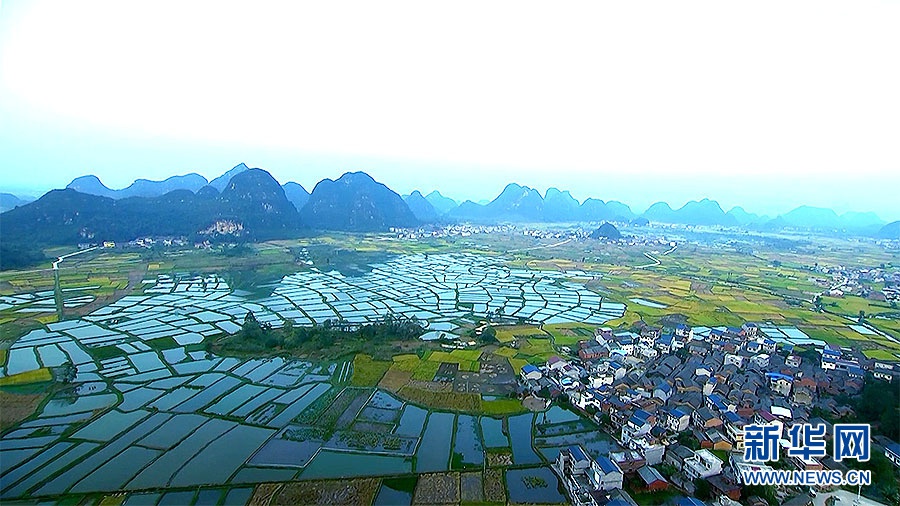 一起去看看,美得发光的玻璃田