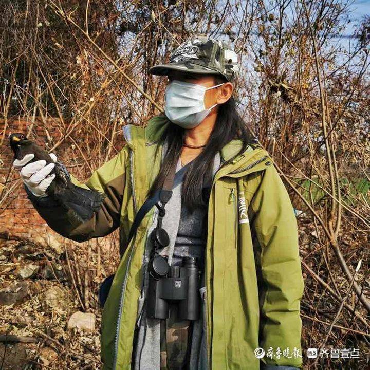 护鸟铁娘子刘懿丹救过上百万只鸟这就像打麻将会上瘾