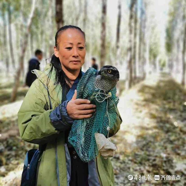 护鸟铁娘子刘懿丹救过上百万只鸟这就像打麻将会上瘾