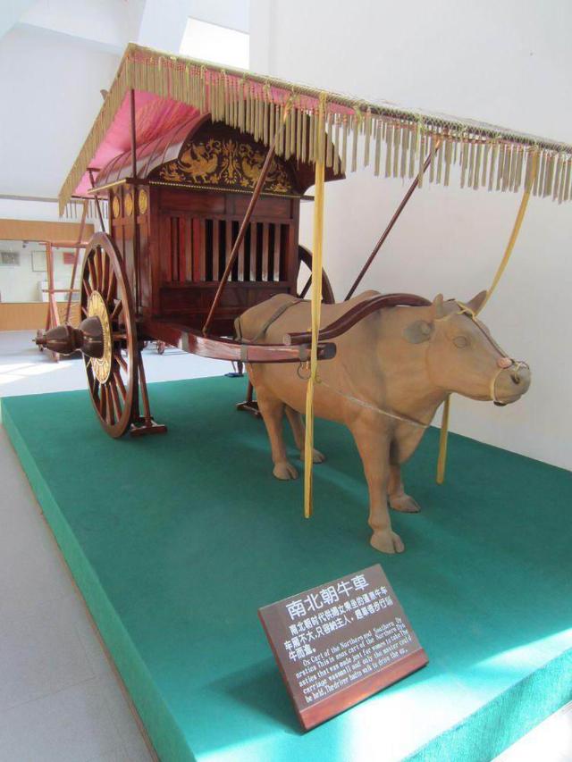 沿着高速看中国高速公路惊醒的古代殉葬车马奇观