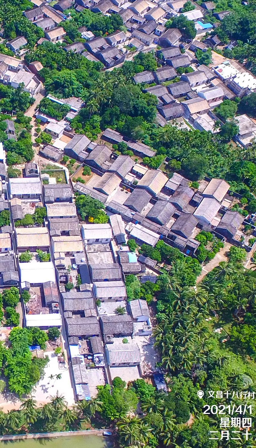 每日一景文昌十八行村