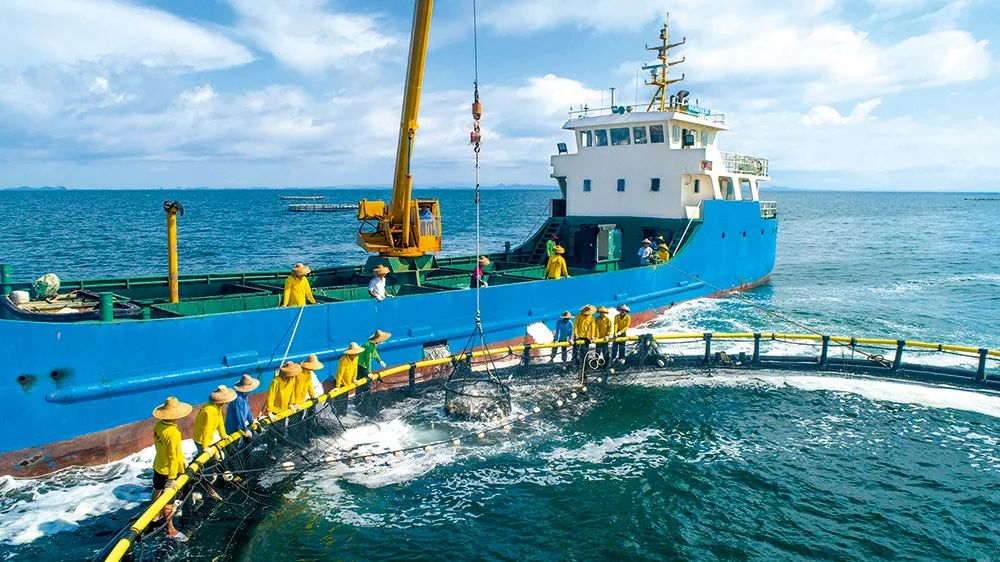 广东省农业农村厅渔业资源保护处供图为什么现在能把海洋建设成人类