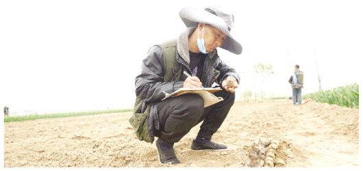 沉睡千年的昌邑故城正在“苏醒”休闲区蓝鸢梦想 - Www.slyday.coM