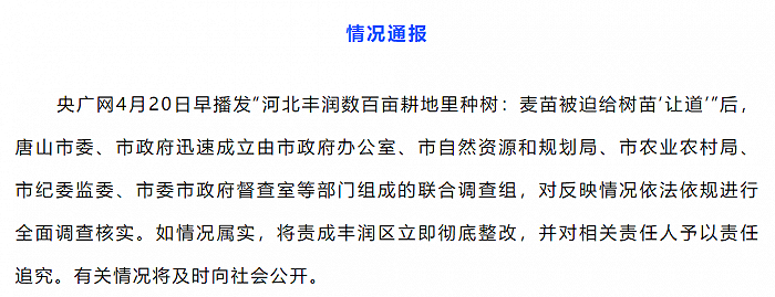 官方回应媒体报道“河北丰润数百亩耕地里种树”：全面调查核实