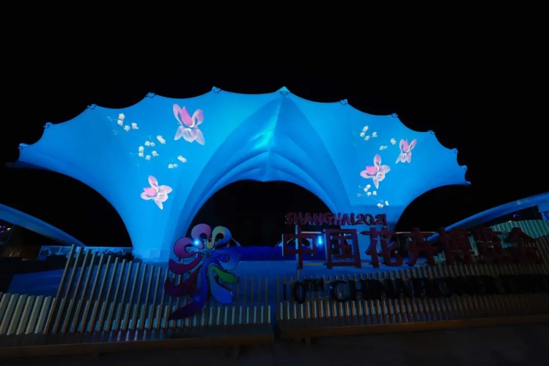 图集花博园的大蝴蝶亮灯了园区的璀璨夜景让人心醉