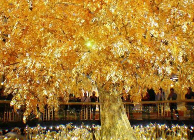 来澳门必打卡的酒店表演游客不花钱也能看整体耗资超过2亿元