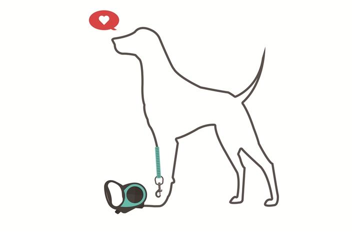 遛狗不牵绳你违法了