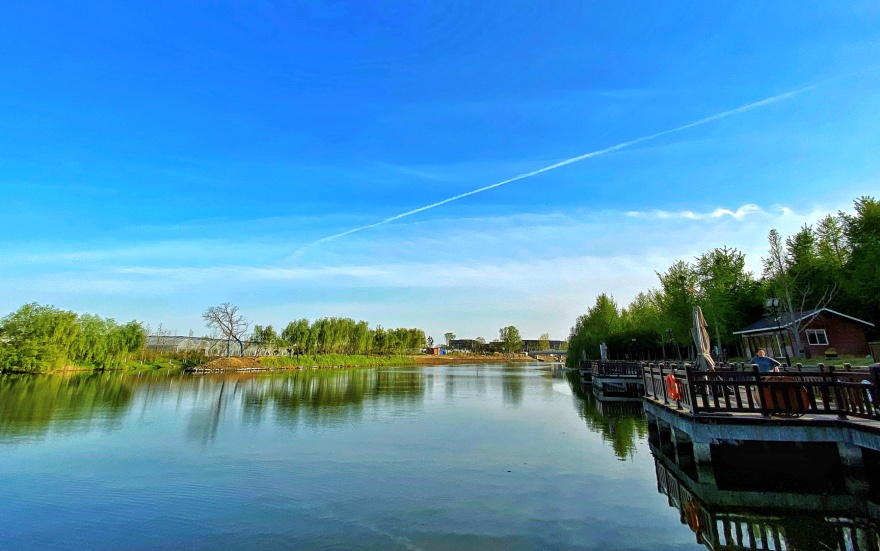 江苏东台打造林中田园描绘诗意画卷