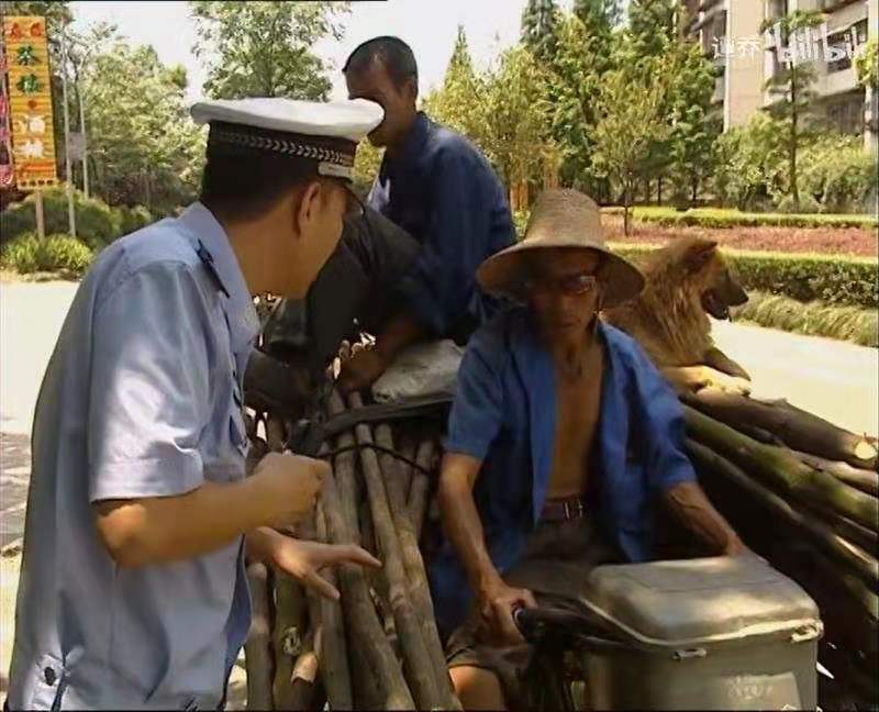 2011年,谭乔警官在节目中拦下了“福贵大爷”载有树枝和人的三轮车。视频截图