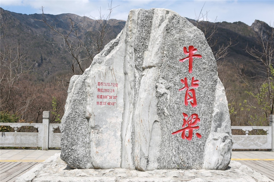 中国有约牛背梁国家级自然保护区秦岭东部的绿色明珠