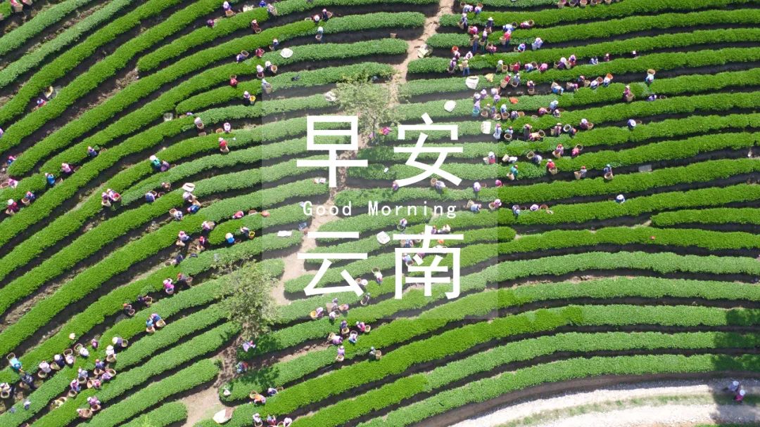 西双版纳常住人口_西双版纳3个县市最新人口排名,景洪市55万最多,勐腊县30万最(2)