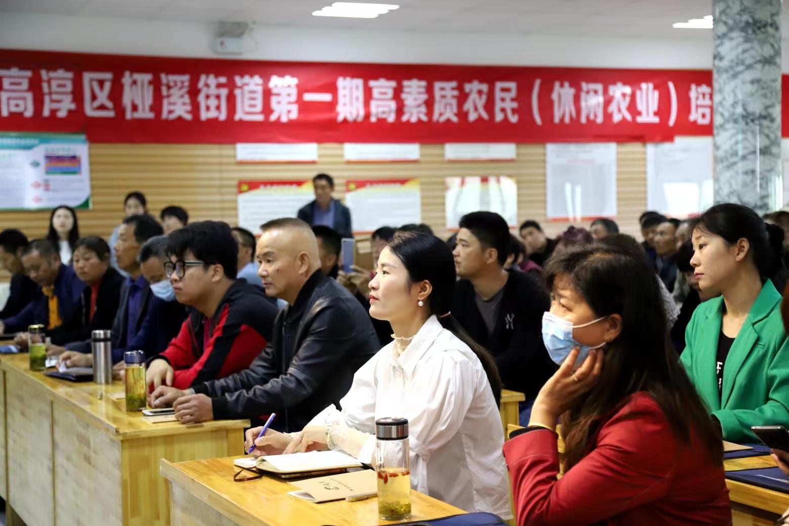 逆冬黑帽SEO培训合法吗 SEO标题怎么写更规范符合百度