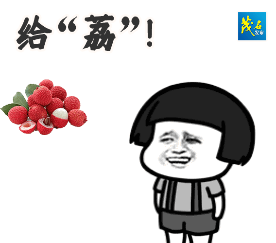 抱团备战荔枝营销季!