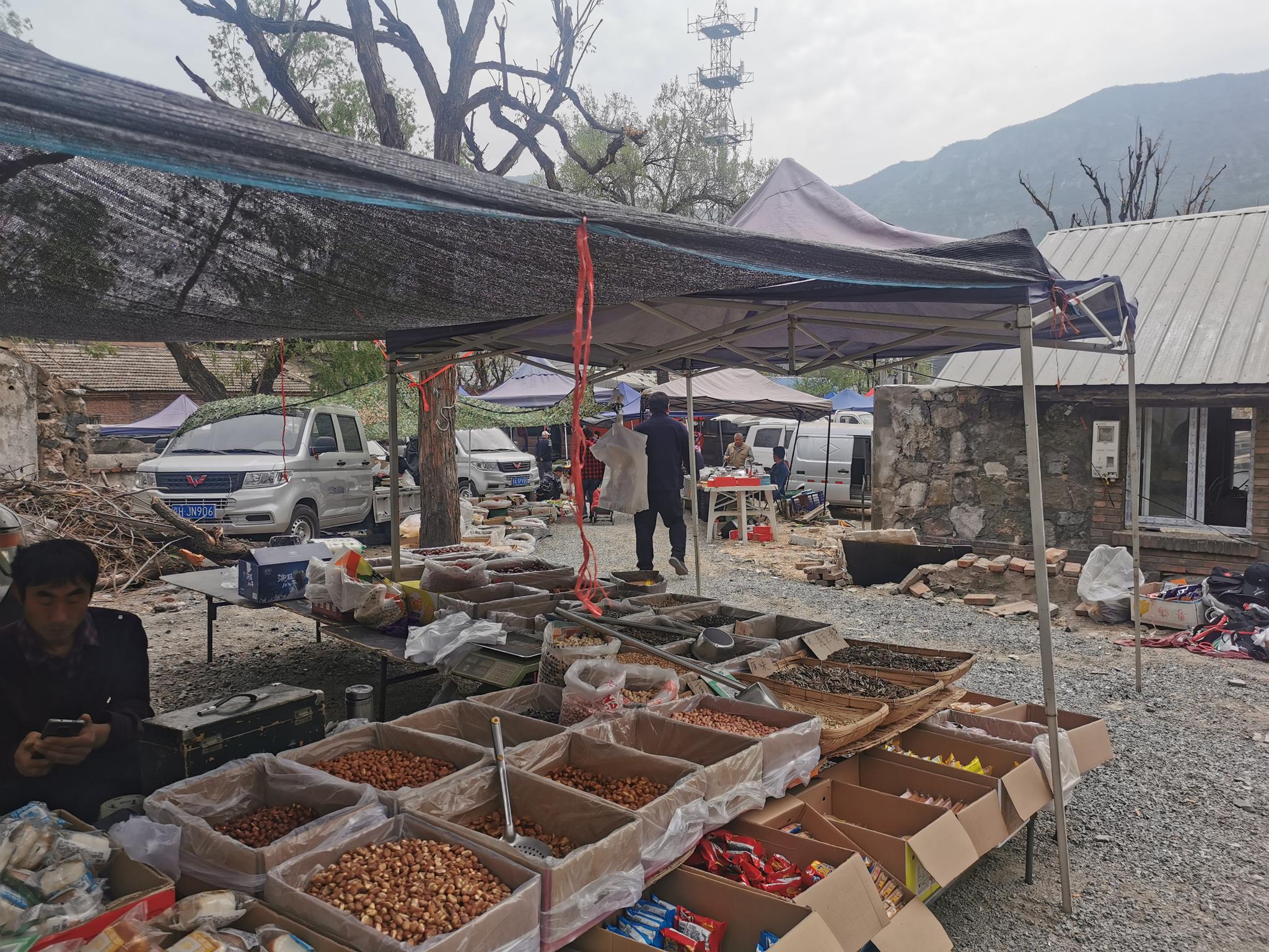 永定河旁王平大集每周三周日开集还有当季木兰芽