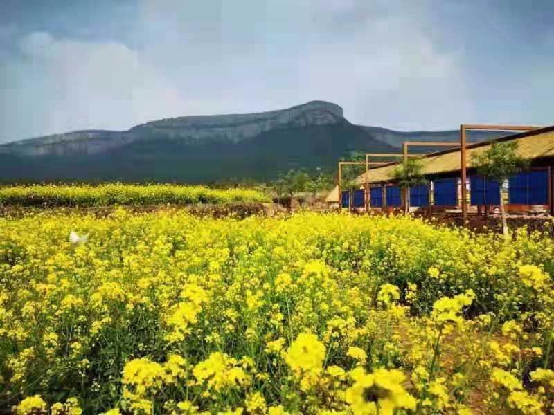 魅力双泉无限好|双泉|长清|大峰山_新浪新闻